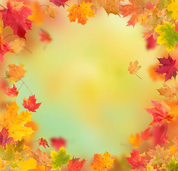 Autumn background — Stock Photo, Image