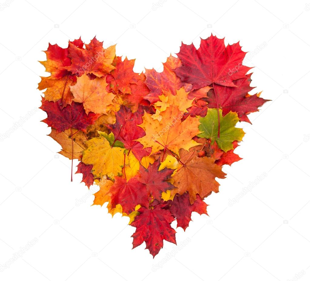 Autumn heart