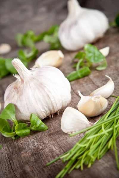 Garlic — Stock Photo, Image