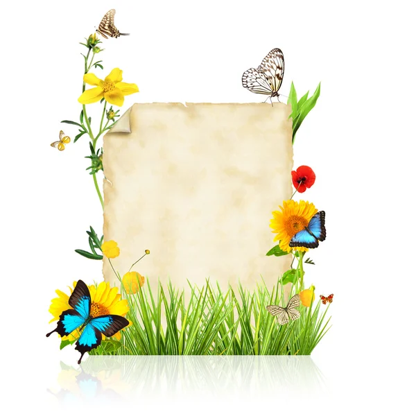 Spring concept — Stock Photo, Image