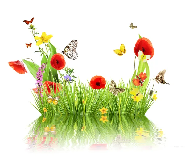 Spring concept — Stock Photo, Image