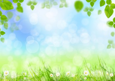 Spring meadow clipart
