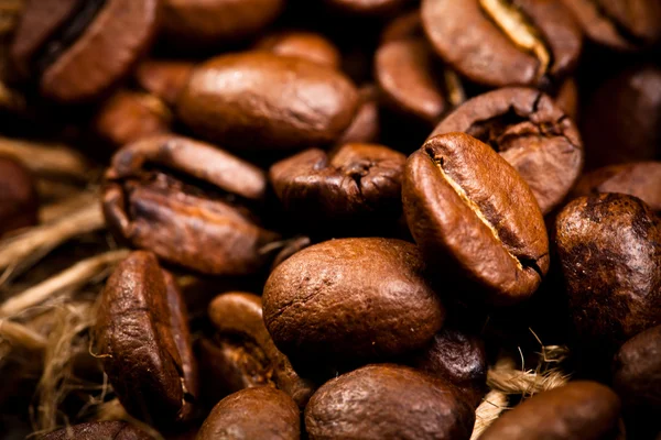 Coffee beans — Stock Photo, Image