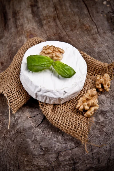 French cheese — Stock Photo, Image