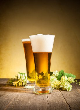 bira bardakları