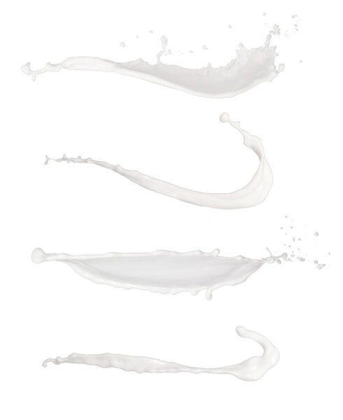 Milk splashes isolated on white background