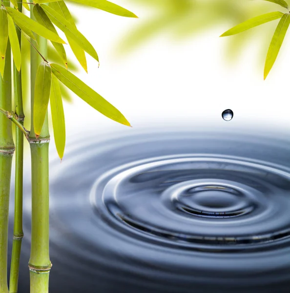 Spa naturaleza muerta — Foto de Stock