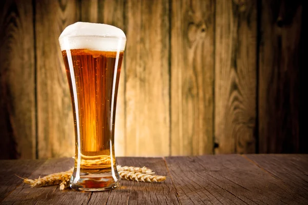 Beer — Stock Photo, Image