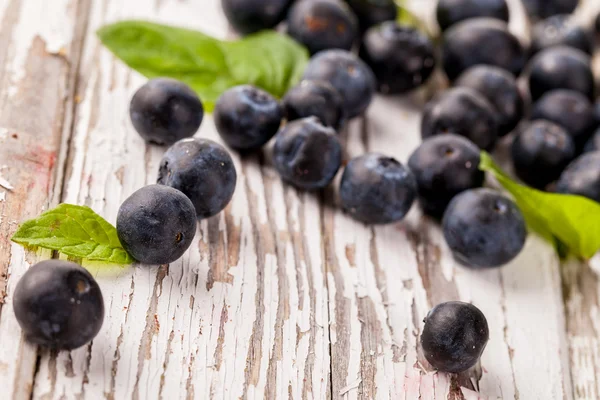 Blueberries — Stock Photo, Image