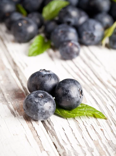 Blaubeeren — Stockfoto