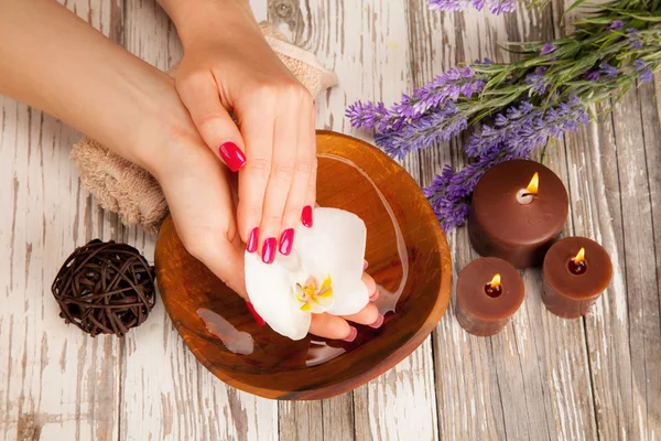 Clean hands — Stock Photo, Image