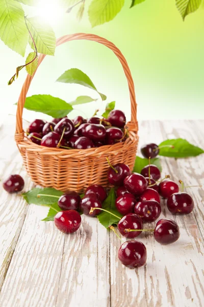 Fresh cherries — Stock Photo, Image