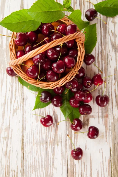 Fresh cherries — Stock Photo, Image