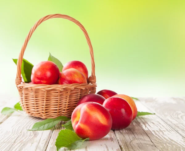 Fresh nectarines — Stock Photo, Image