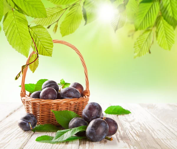 Fresh plums — Stock Photo, Image