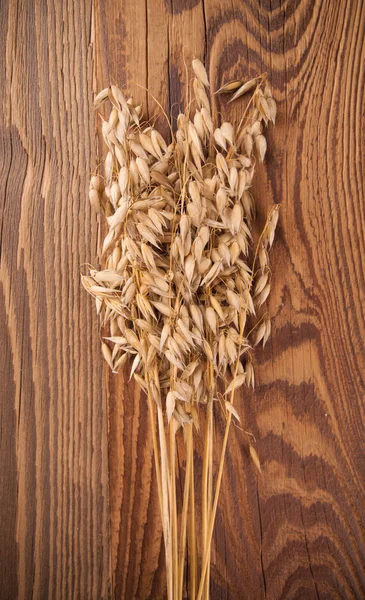 Oat on wood — Stock Photo, Image