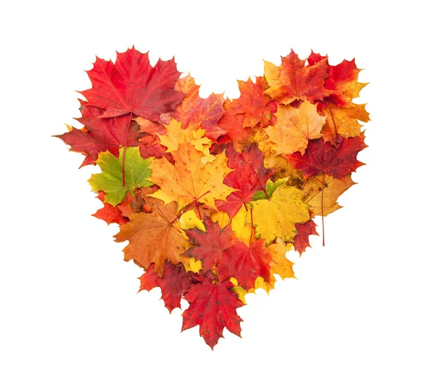 Осеннее сердце — стоковое фото