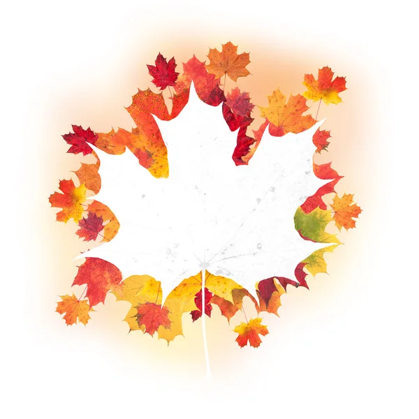 Design podzimních listí — Stock fotografie