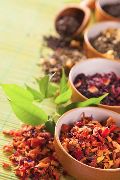 Various dry tea in small bowls — Stock Photo, Image