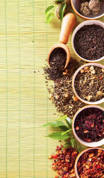 Various dry tea in small bowls — Stock Photo, Image