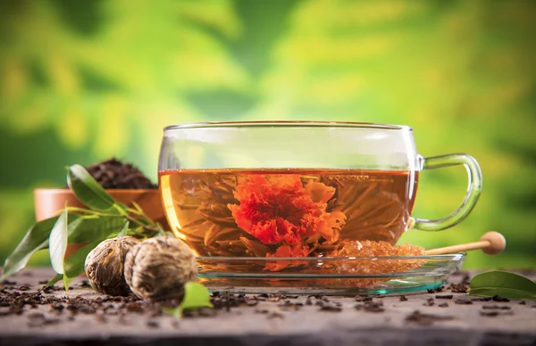 Chá florescente — Fotografia de Stock
