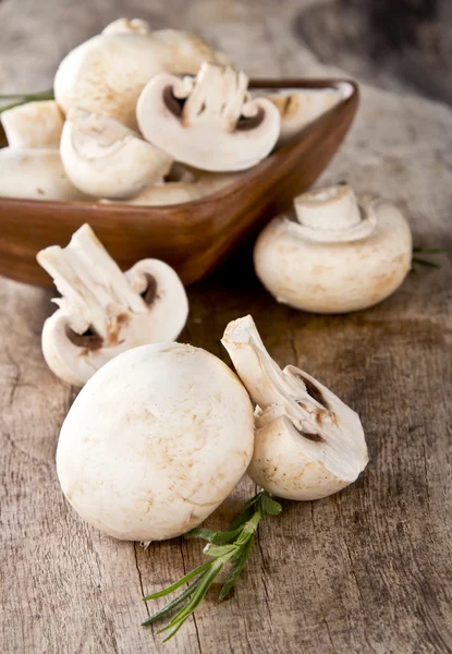 Fresh champignons — Stock Photo, Image