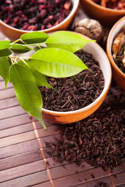 Various dry tea in small bowls — Stock Photo, Image