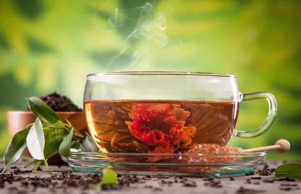 Blooming tea — Stock Photo, Image
