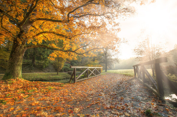 Осенний пейзаж