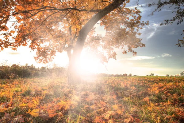 秋の風景写真素材 ロイヤリティフリー秋の風景画像 Depositphotos