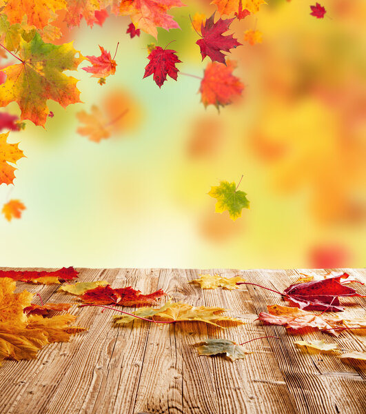 Autumn leaves