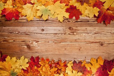 Sonbahar Yaprakları