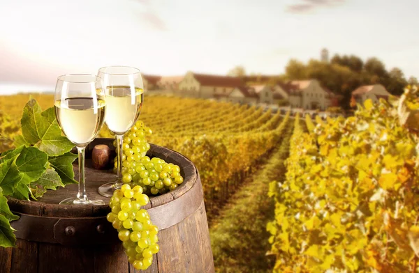 Vino con viñedo sobre fondo — Foto de Stock