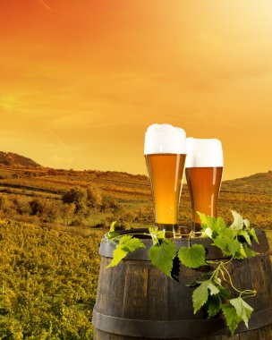 bira natürmort