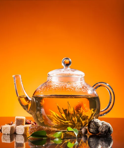 Blooming tea — Stock Photo, Image