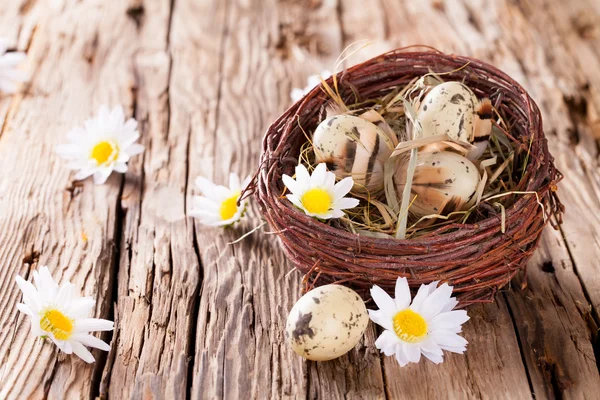 Paskalya yumurtaları Wood