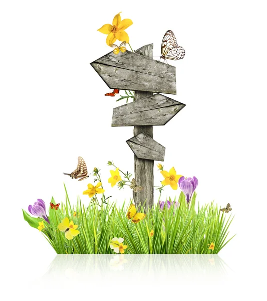 Spring concept with sign post — Stock Photo, Image