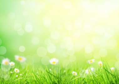 soyut çiçek arkaplanı