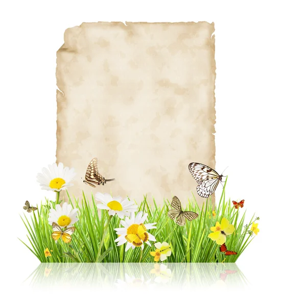 Concepto de primavera con papel en blanco — Foto de Stock