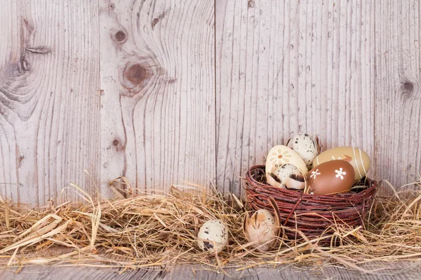 Easter eggs on wood — Stock Photo, Image