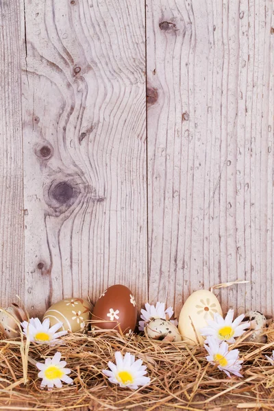 Easter eggs on wood — Stock Photo, Image