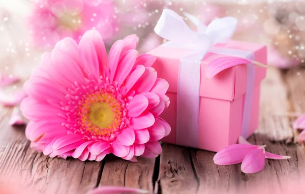 Gerber flower with gift — Stock Photo, Image