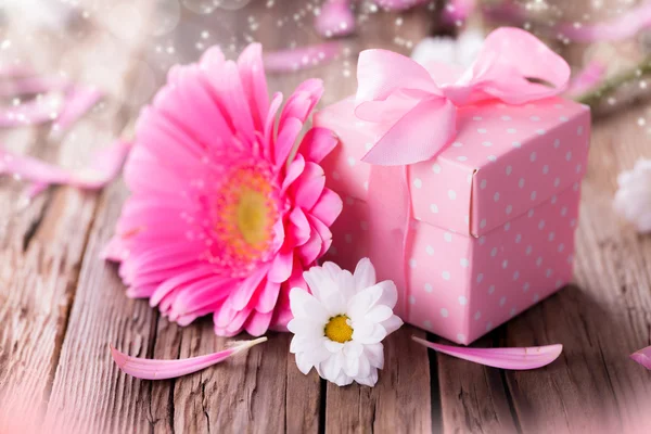 Gerber Blume mit Geschenk — Stockfoto