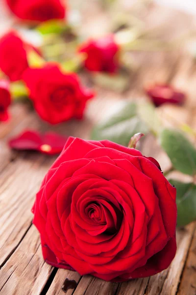 Rosas vermelhas em madeira — Fotografia de Stock