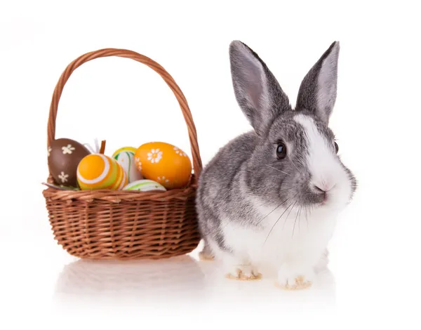 Kaninchen mit Korb auf weißem Hintergrund — Stockfoto