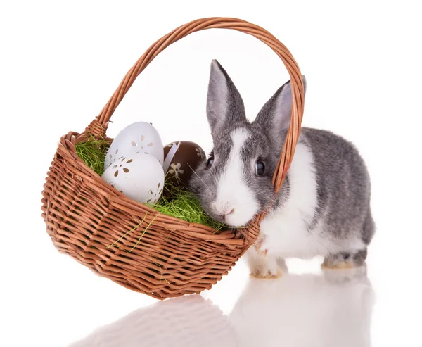 提着篮子在白色背景上的兔子 — 图库照片