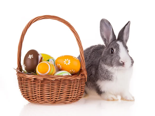 Kaninchen mit Korb auf weißem Hintergrund — Stockfoto