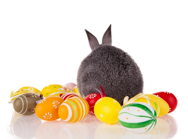 Kaninchen mit Eiern auf weißem Hintergrund — Stockfoto