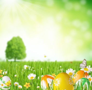 Çimenlerdeki paskalya yumurtaları