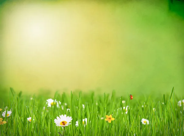 Abstrakt blommig bakgrund — Stockfoto